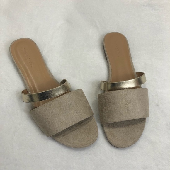 Banana Republic Shoes - Banana Republic Vegan Slide Sandals Metallic 8.5
